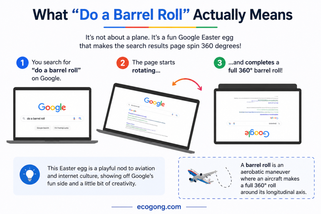 do a barrel roll 20 times