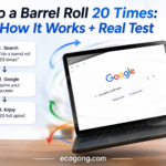 do a barrel roll 20 times